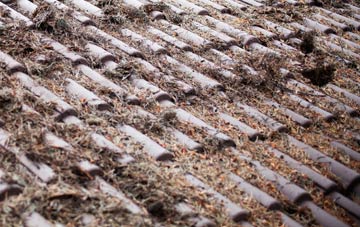 Ram roof cleaning companies